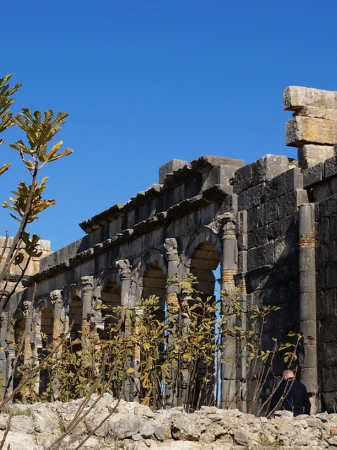 volubilis day excursions