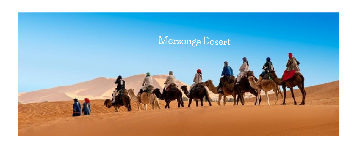 merzouga desert tours